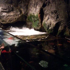 Scottish sea life centre, Oban 03/08/10