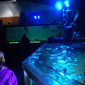 Scottish sea life centre, Oban 03/08/10