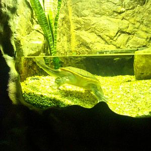 Scottish sea life centre, Oban 03/08/10