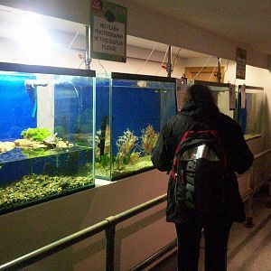 Scottish sea life centre, Oban 03/08/10