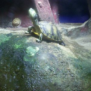 Scottish sea life centre, Oban 03/08/10