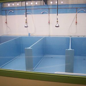 Scottish sea life centre, Oban 03/08/10