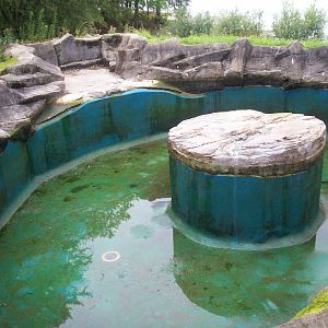 Scottish sea life centre, Oban 03/08/10