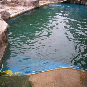 Scottish sea life centre, Oban 03/08/10