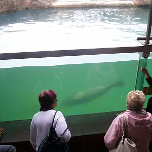 Scottish sea life centre, Oban 03/08/10