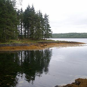 Scottish sea life centre, Oban 03/08/10