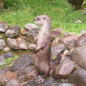Scottish sea life centre, Oban 03/08/10