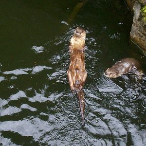 Scottish sea life centre, Oban 03/08/10
