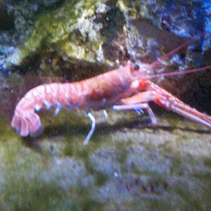 Scottish sea life centre, Oban 03/08/10