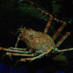 Scottish sea life centre, Oban 03/08/10