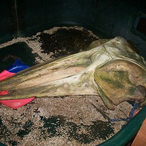 Scottish sea life centre, Oban 03/08/10