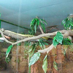 Helsinki Tropicario Reptile Zoo