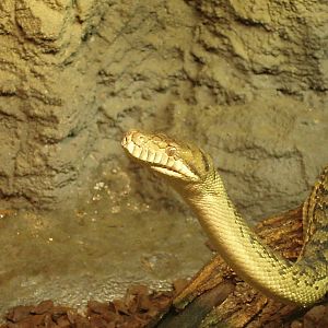 Helsinki Tropicario Reptile Zoo