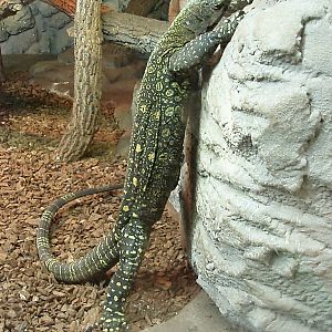 Helsinki Tropicario Reptile Zoo