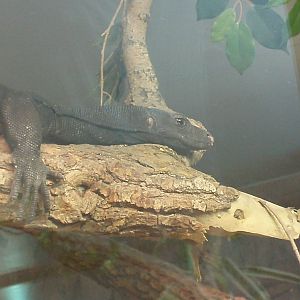 Helsinki Tropicario Reptile Zoo