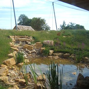 View of the Wader Aviary from inside the Gents Toilets