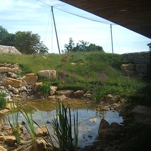 View of the Wader Aviary from inside the Gents Toilets
