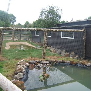 View of outdoor turtle and Caiman enclosures