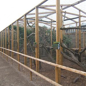 New Aviarys alongside the Tropical House