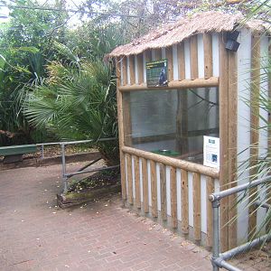 Goeldis Monkey House inside the Tropical House
