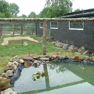 Turtle and Caiman Exhibits at Wingham WP, 31/07/10