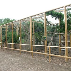 New Pheasant Aviaries at Wingham WP, 31/07/10