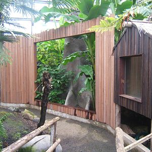 New enclosure under construction