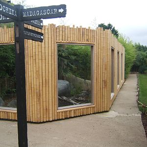 New Fishing Cat enclosure