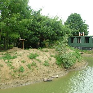 New Lemur Island at Wingham WP, 31/07/10