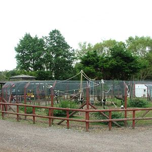 Ruffed Lemur Exhibit at Wingham WP, 31/07/10