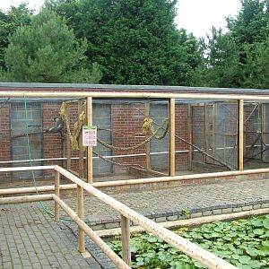 Quarantine exhibits at Wingham WP, 31/07/10