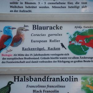 Signage Example at Zoo Berlin