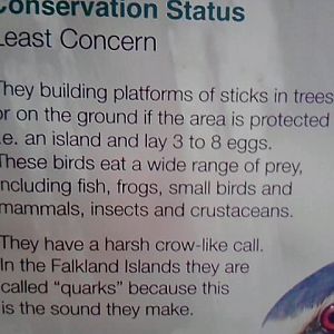 Good use of english on a Twycross Sign