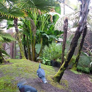 Tropical Hall at the RSCC, 31/07/10