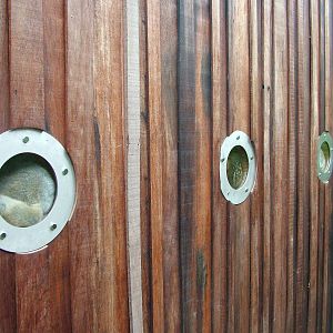 Loris portholes at the RSCC, 31/07/10