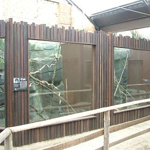 Cuscus and Cloud Rat exhibits at the RSCC, 31/07/10