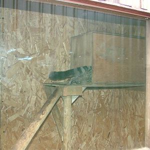 Oh so close! at the RSCC, 31/07/10