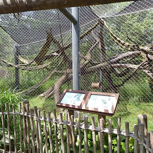 Nganda Village - Colobus/DeBrazza Monkey Enclosure