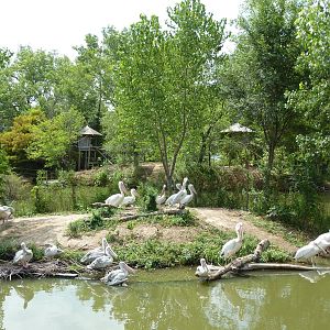 Nganda Village - Pelican Island