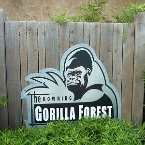 Gorilla Forest Sign