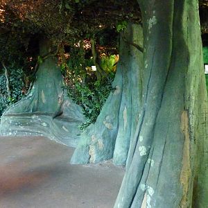 Gorilla Forest - Indoor Viewing Area