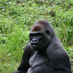 Kumbuka having a moment.