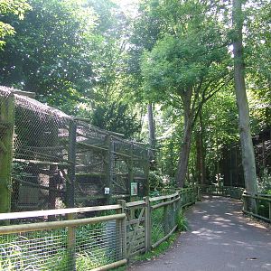 General view at Howletts, 31/07/10