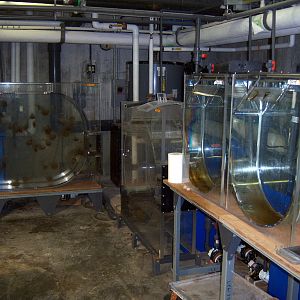 Behind-the-Scenes 2008 - Jellyfish Holding