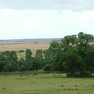 African Experience at Port Lympne, 01/08/10