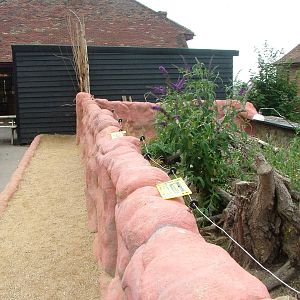African Experience at Port Lympne, 01/08/10