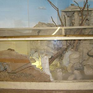 African Experience at Port Lympne, 01/08/10