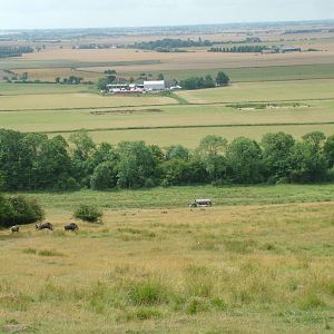 African Experience at Port Lympne, 01/08/10