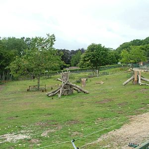 Rhino and Baboon Mixed Exhibit at Port Lympne, 01/08/10