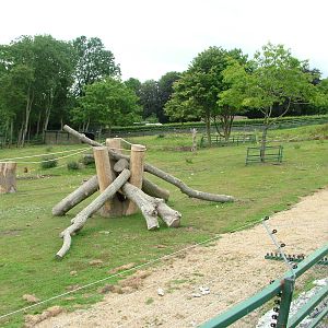 Rhino and Baboon Mixed Exhibit at Port Lympne, 01/08/10